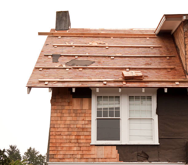 Best Storm Damage Siding Repair  in Raintree Plantation, MO